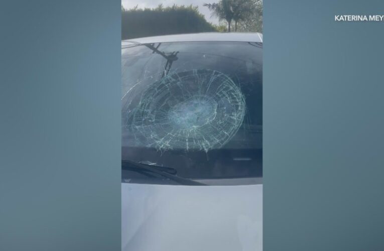 Brick-throwing vandal caught on camera smashing windshields