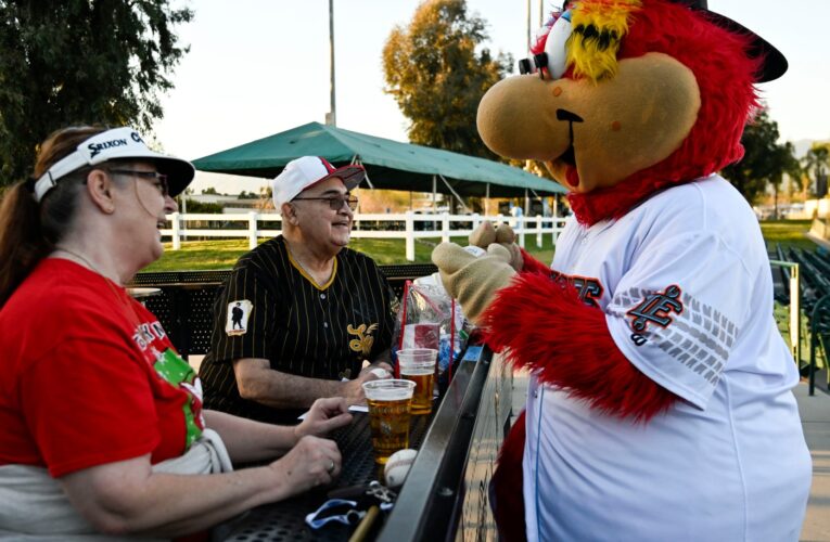 Crazy mascots, theme nights and up-close action; Minor League Baseball is back
