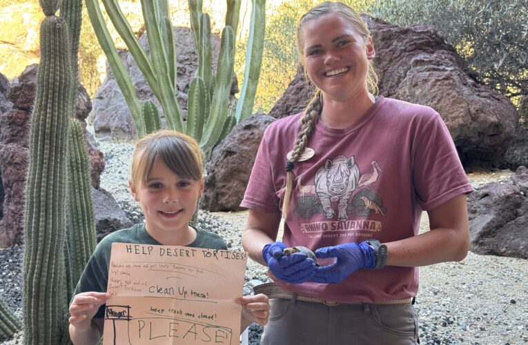 9-Year-Old Conservationist’s Goal Of Saving The Desert Tortoise
