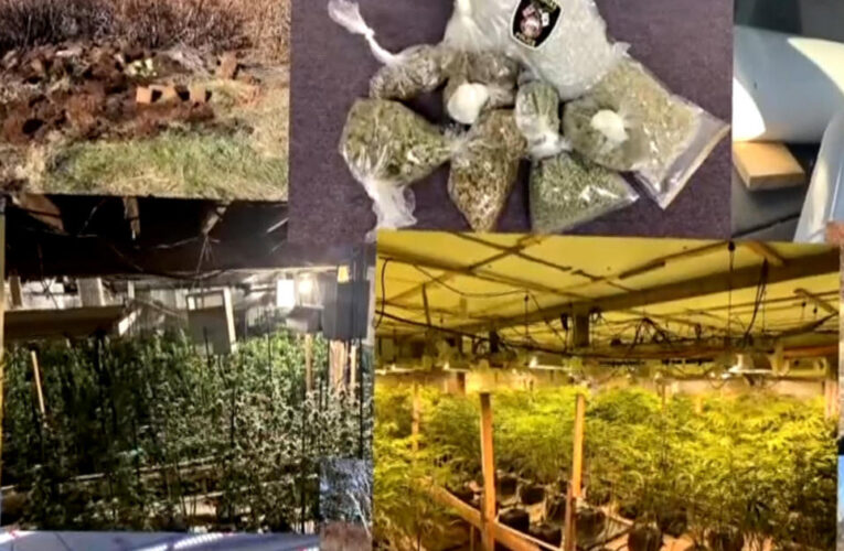Black market marijuana farms in Maine allegedly tied to Chinese criminal networks
