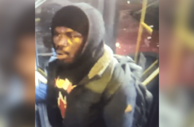 Los Angeles bus driver punched, stabbed; attacker on the loose