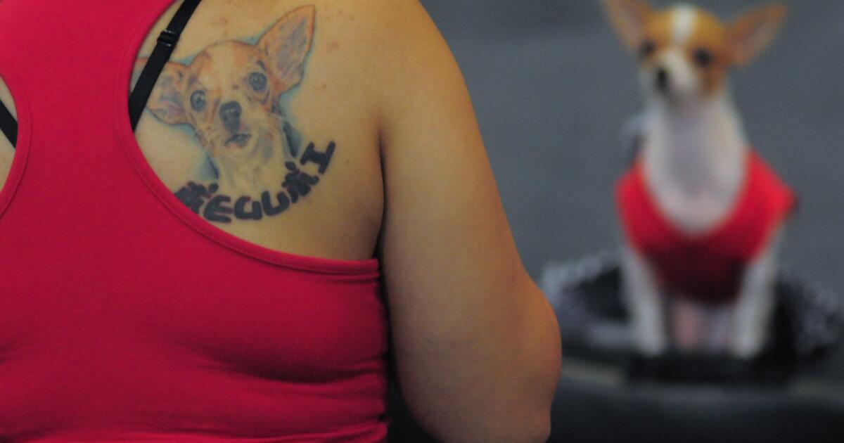 petsmart-contest-offers-to-cover-up-bad-tattoos-with-a-pic-of-your-pooch