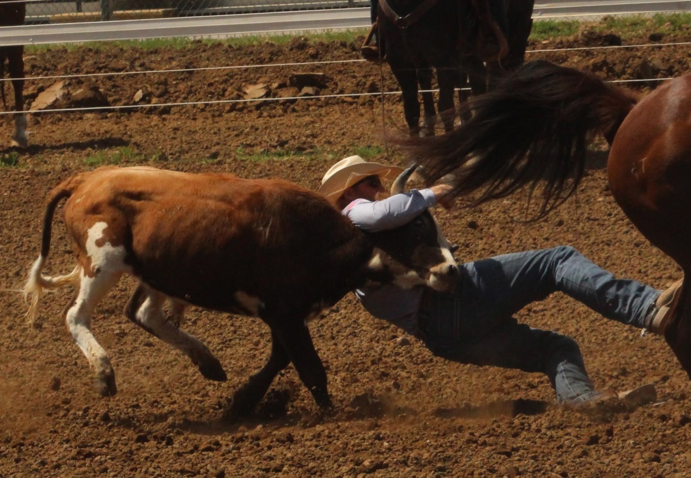 tie-down,-team-roping,-and-steer-wrestling-slack-ends