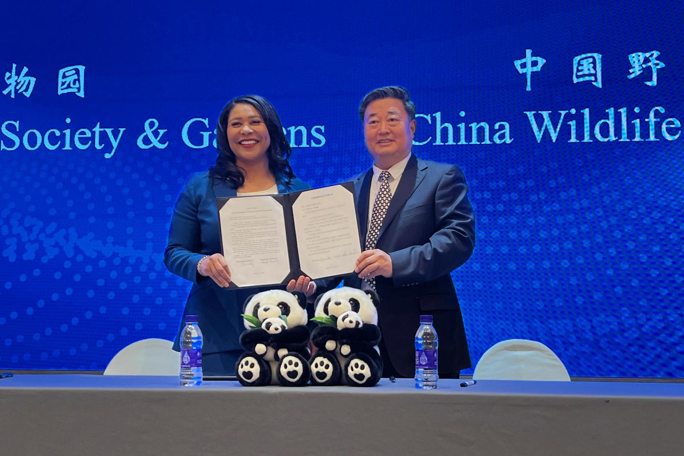 san-francisco-mayor-announces-the-city-will-receive-pandas-from-china