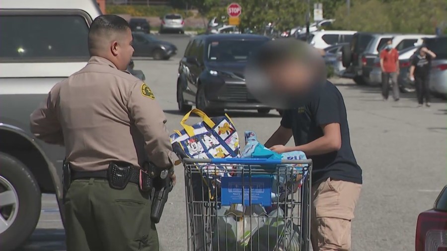 new-lasd-task-force-has-made-more-than-600-arrests-in-southern-california-shoplifting-stings