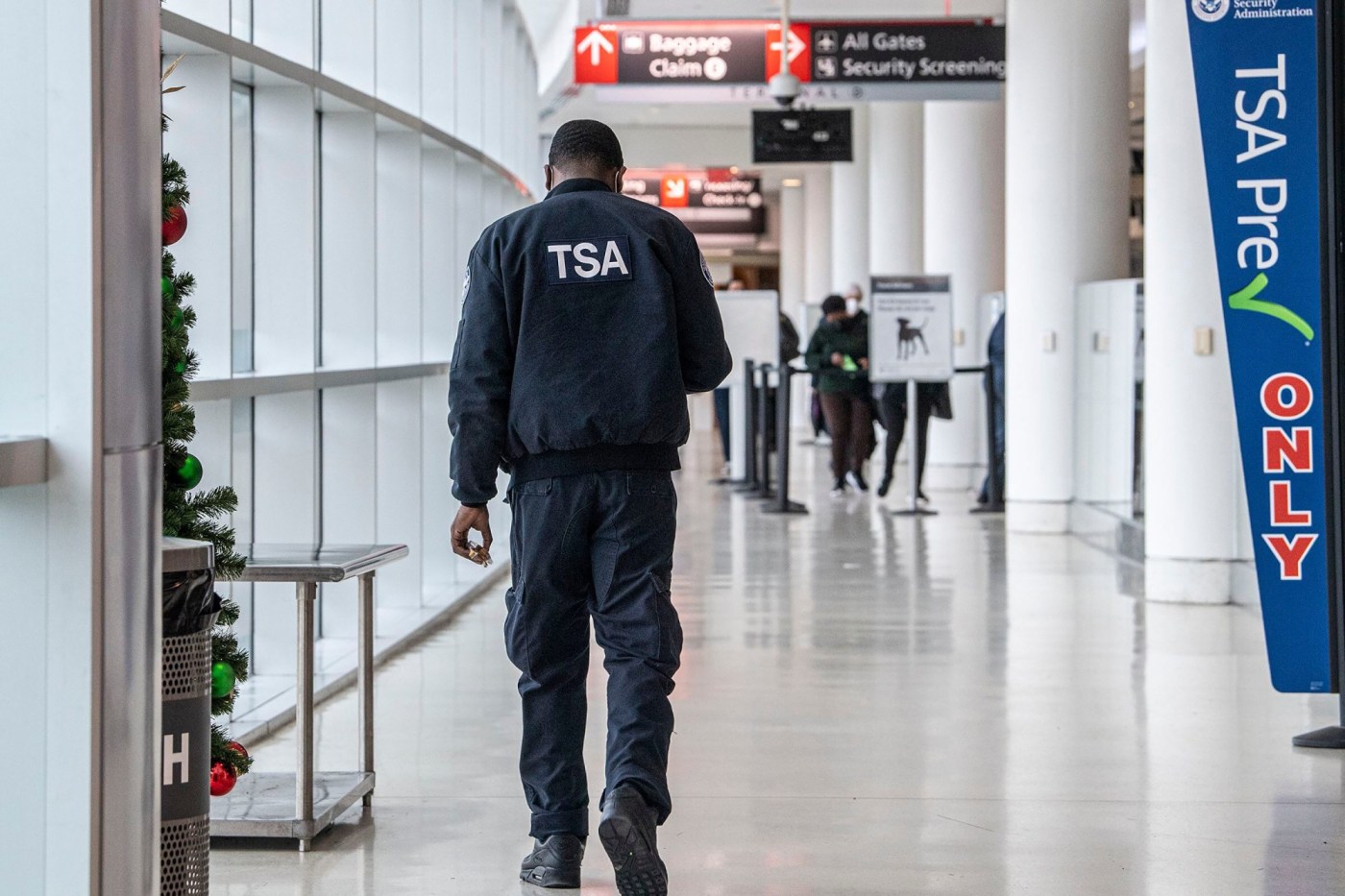 traveling-this-year?-here’s-what-you-need-to-know-about-tsa-precheck,-clear-plus-and-global-entry