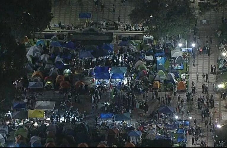 Police clear pro-Palestinian encampment at UCLA; 132 people arrested | WATCH LIVE