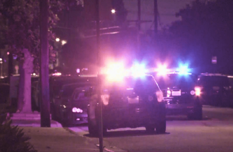 Domestic violence suspect shot by at least one deputy in Los Angeles County