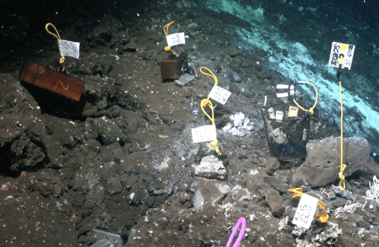 Scripps Oceanography scientists to take part in deep-sea exploration off coast of Alaska