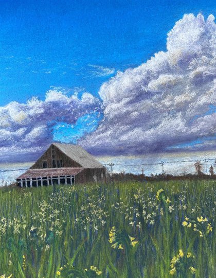 new-carnegie-exhibit-showcases-local-artists,-valley-ag-life