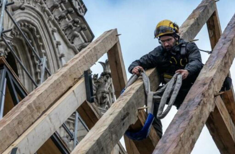 Meet the American craftsman helping rebuild France’s Notre Dame cathedral