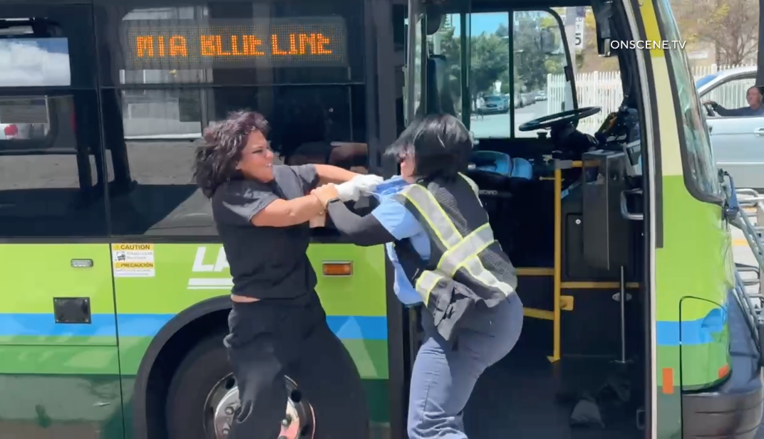 dash-bus-driver-was-pushed,-punched-by-passenger,-video-shows