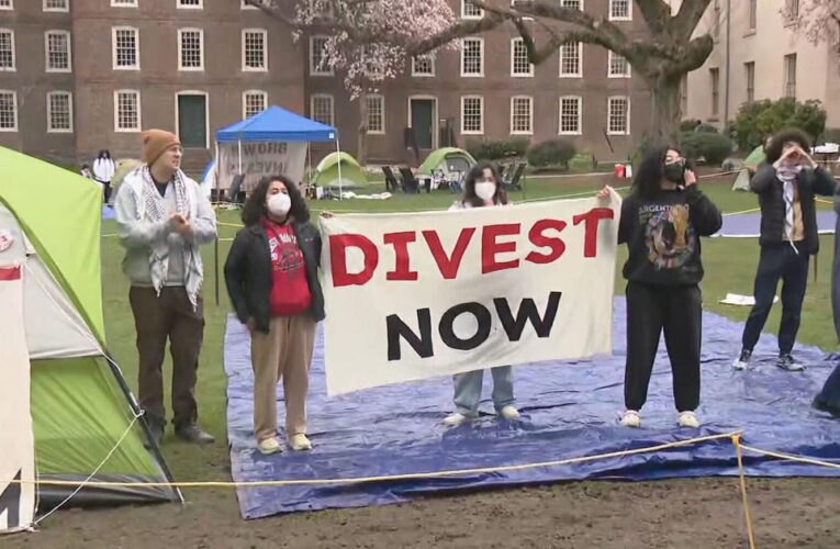 Some students want colleges to divest from Israel. Here’s what that means.