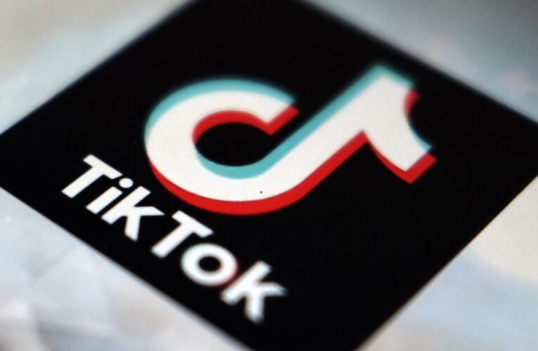 TikTok sues U.S. government, says ban violates First Amendment