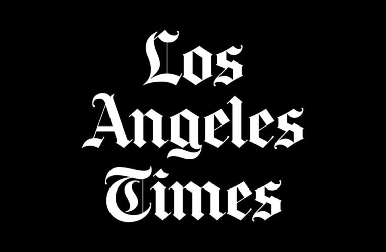 L.A. City’s homelessness website falls short of goal to be transparent, critics say