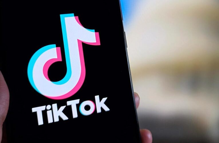 TikTok points out lawmakers’ hypocrisy in legal filing