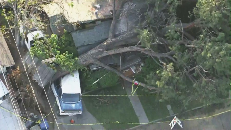giant-tree-crushes-monrovia-home,-trapping-residents-inside