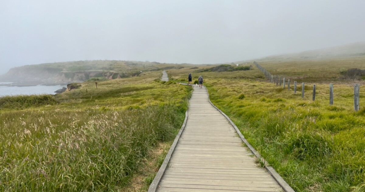 new-boardwalk-to-be-constructed-this-summer-at-popular-preserve-in-cambria