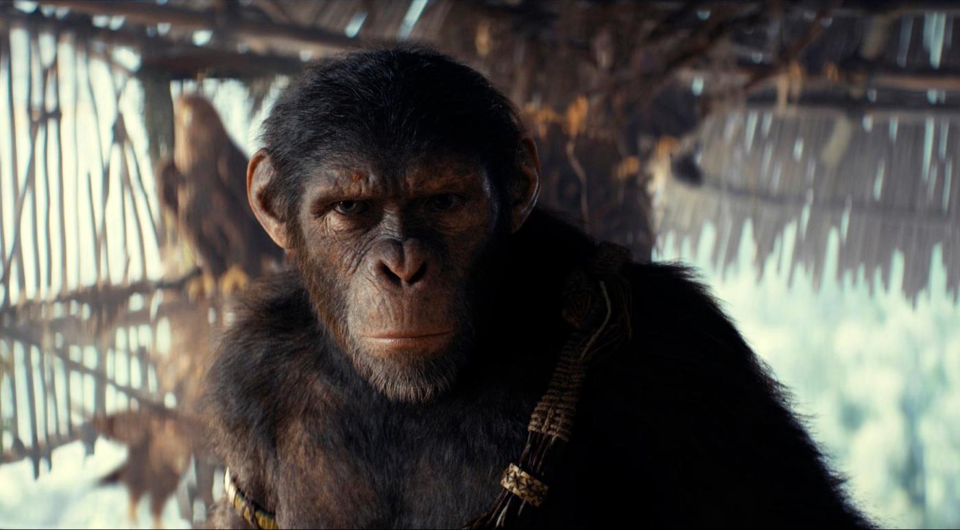 ‘kingdom-of-the-planet-of-the-apes’-reigns-at-the-box-office-with-$56.5-million-opening