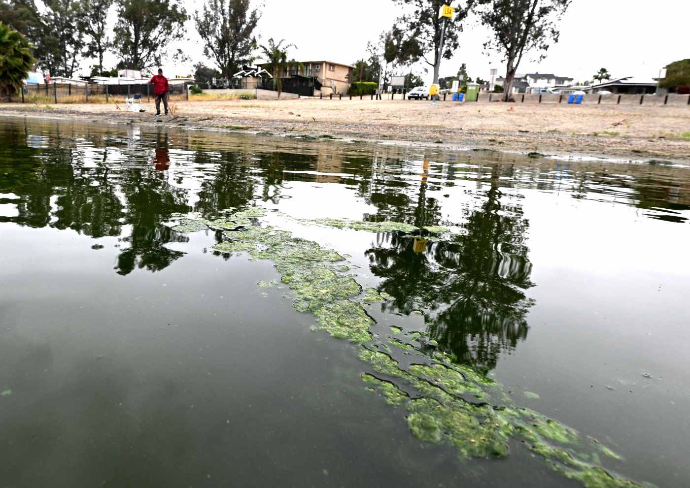 toxic-algae-blooms-hit-inland-empire-lakes,-threaten-people-and-pets