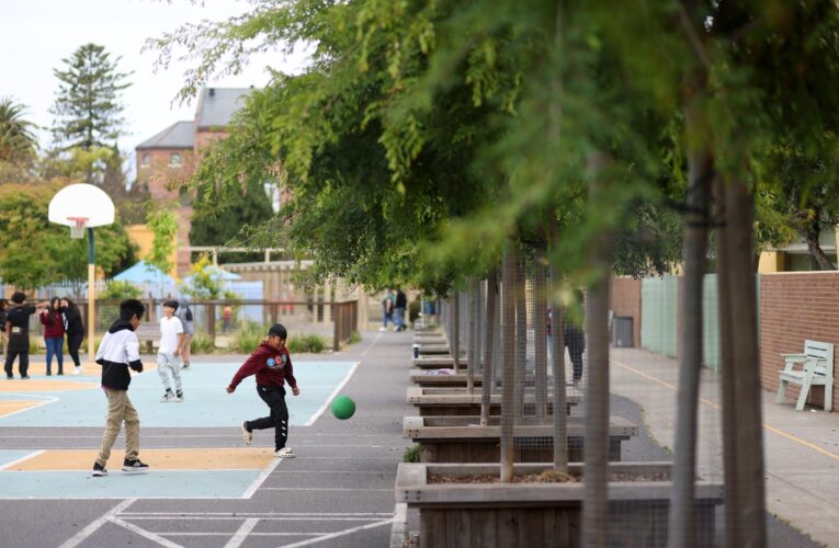 Trees, not asphalt: The $1 billion effort to build ‘cooler’ California school playgrounds