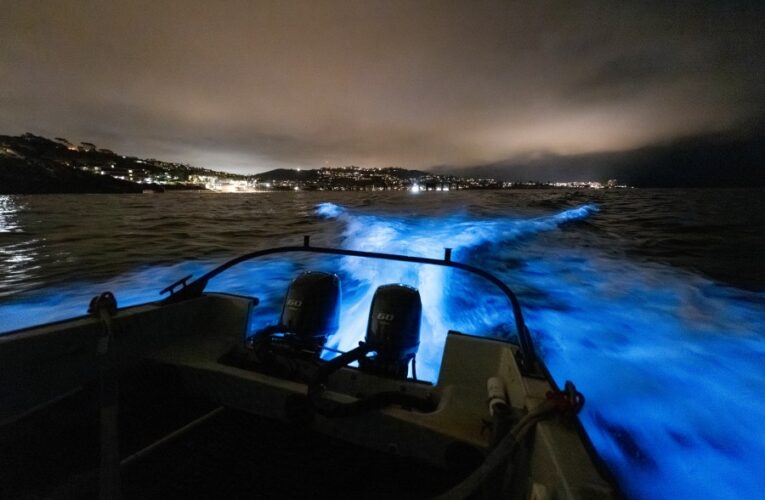 VIDEO: Boat radiates neon blue in waters near Scripps Pier
