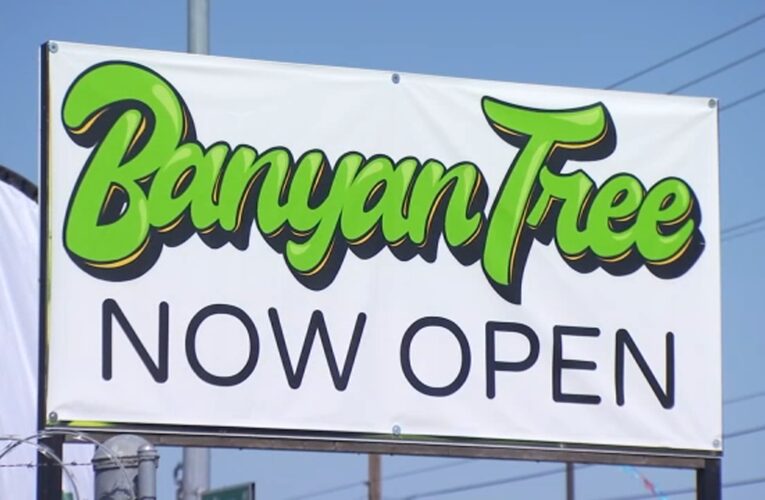 Northeast Fresno welcomes Banyan Tree dispensary, boosting revenue hopes for city leaders