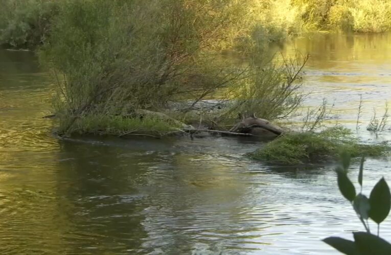 Second Merced River rescue this week underway