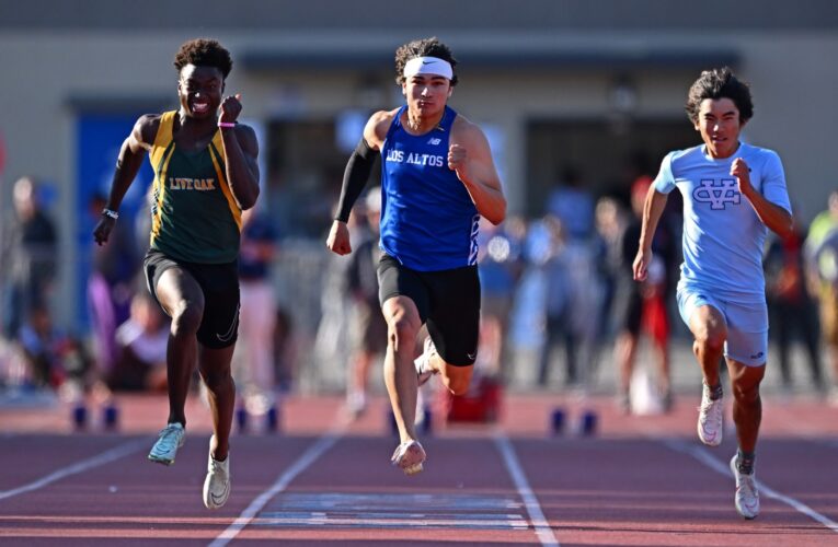 CCS track and field finals: Los Altos, Mountain View, St. Ignatius, Mitty, Palo Alto standouts among top performers