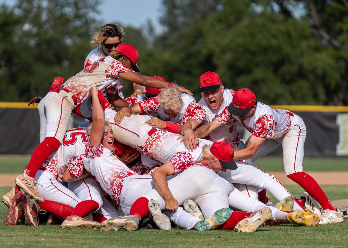 chico-high-baseball-continues-hot-streak,-beats-red-bluff-for-first-section-championship-since-2017