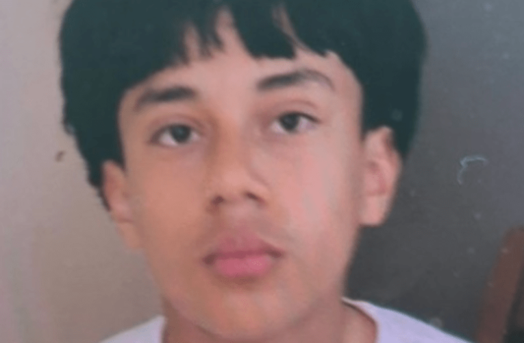 Family, deputies searching for missing 14-year-old boy last seen in Los Angeles County