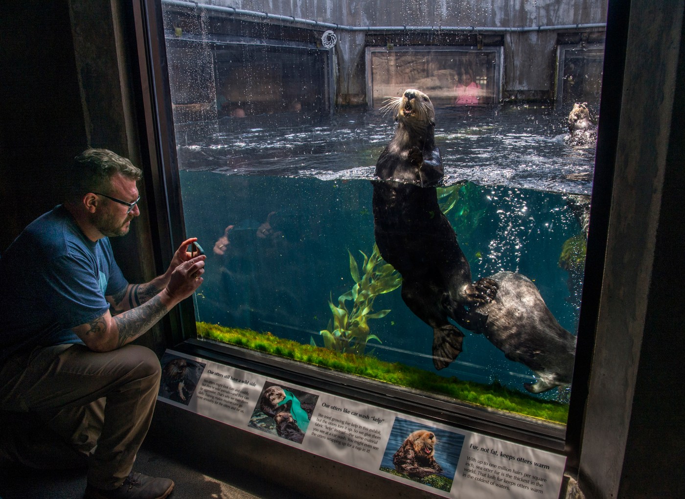 monterey-bay-aquarium-to-offer-free-admission-to-low-income-residents