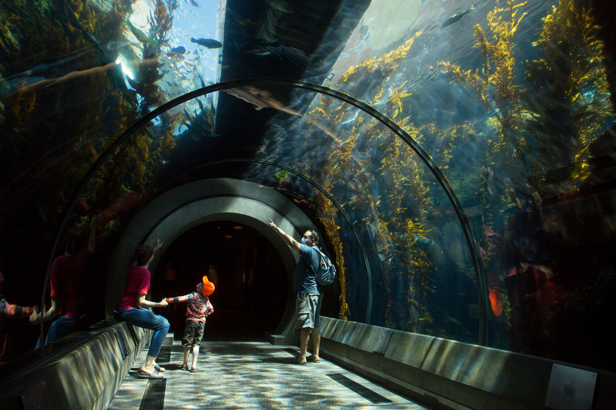 From left, Emily Senac, three-year-old Jordan Senac and Jason Senac admire the Kelp Forest exhibit at the California Science Center during its first day open since shutting down due to Covid-19 restrictions in Los Angeles on Saturday, March 27, 2021. (Photo by Drew A. Kelley, Contributing Photographer)