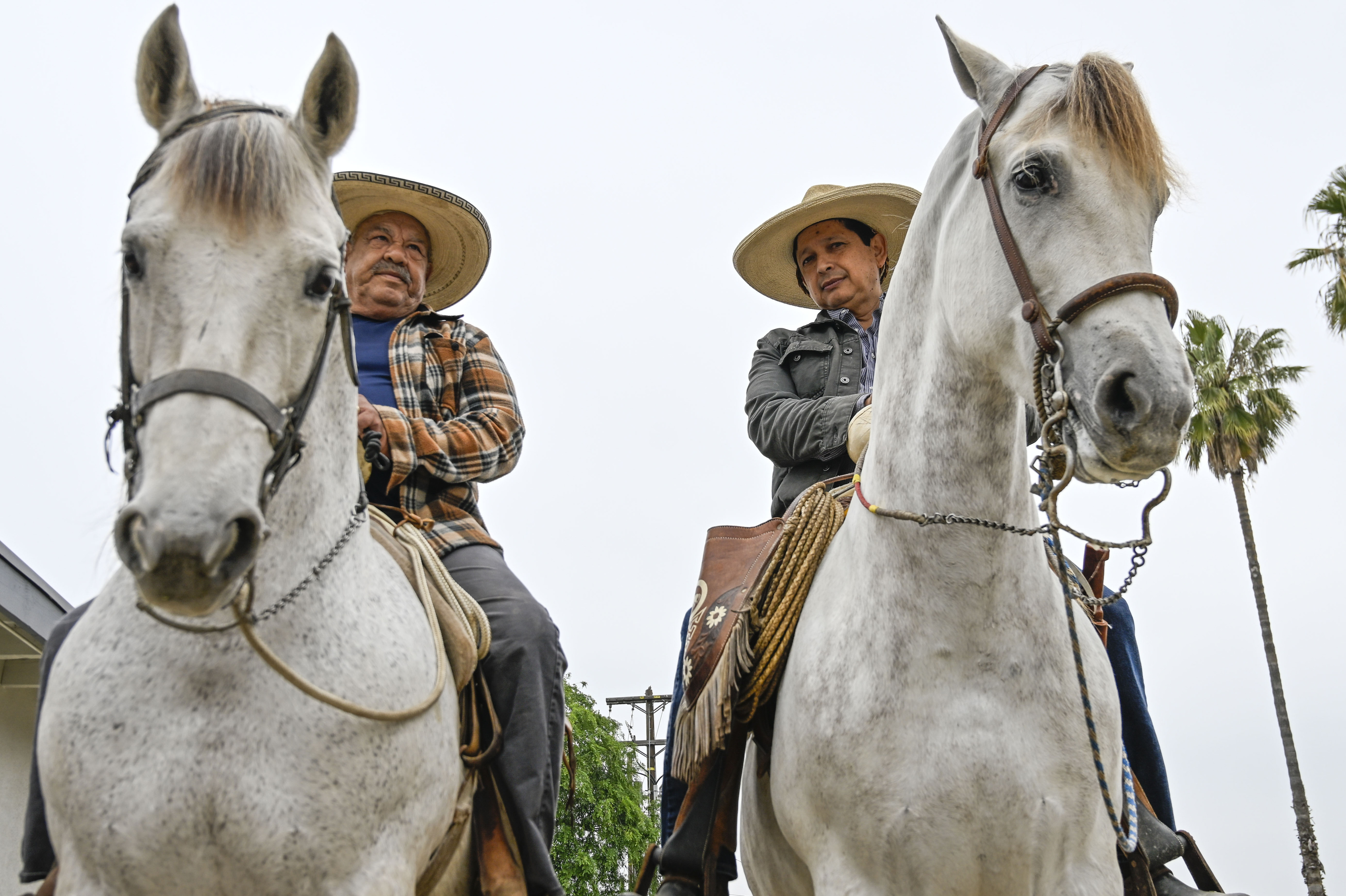 Jose Mercado and Adain Esparza watch the Norco Horseweek Parade...