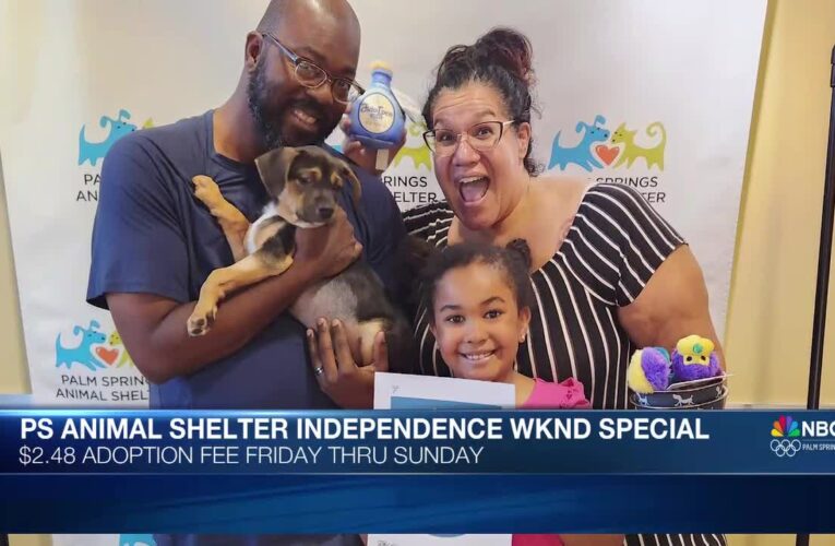 PS Animal Shelter Hosts Clear The Shelter Event