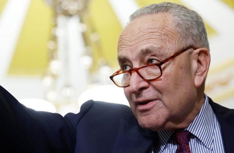 Did Chuck Schumer ask Biden to exit the 2024 race?