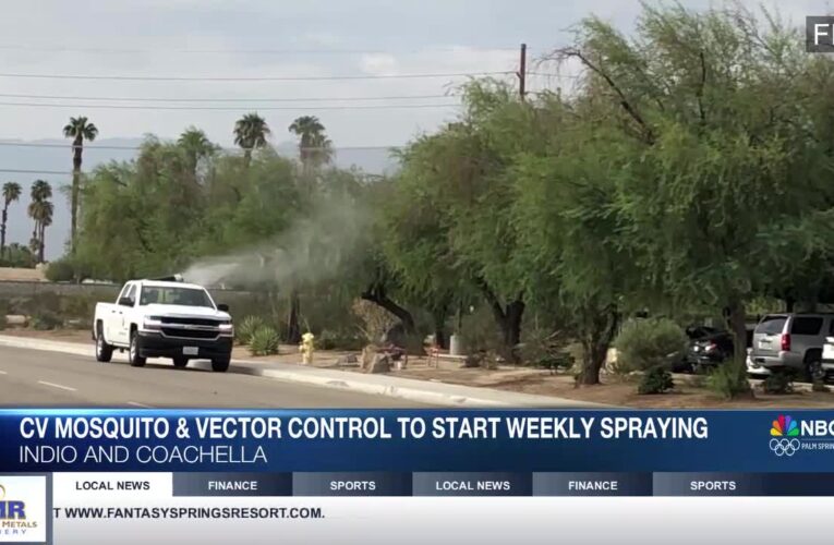 Weekly Mosquito Spraying to Begin in Coachella Valley to Combat Viruses