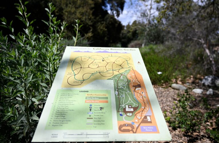 Claremont’s California Botanic Garden offers movie night with native plant treats