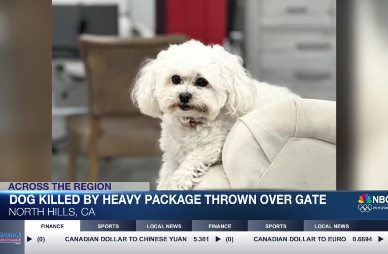 North Hills Woman Claims Dog Killed by UPS Driver’s Thrown Package