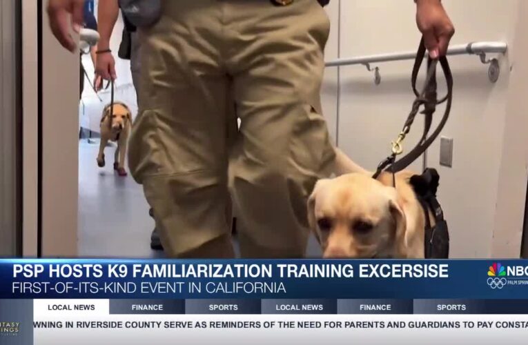 Palm Springs Airport Hosts First K-9 Familiarization Training in California