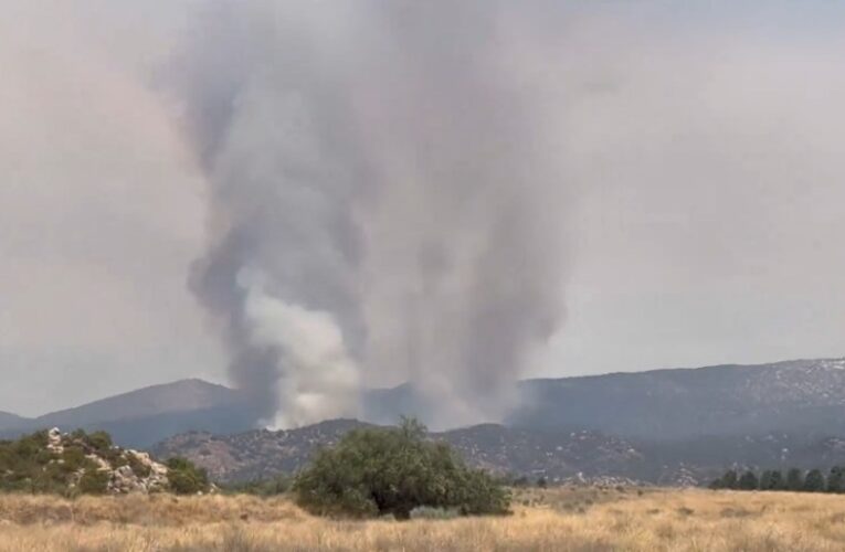 Evacuations issued for brush fire burning east of Palomar Mountain