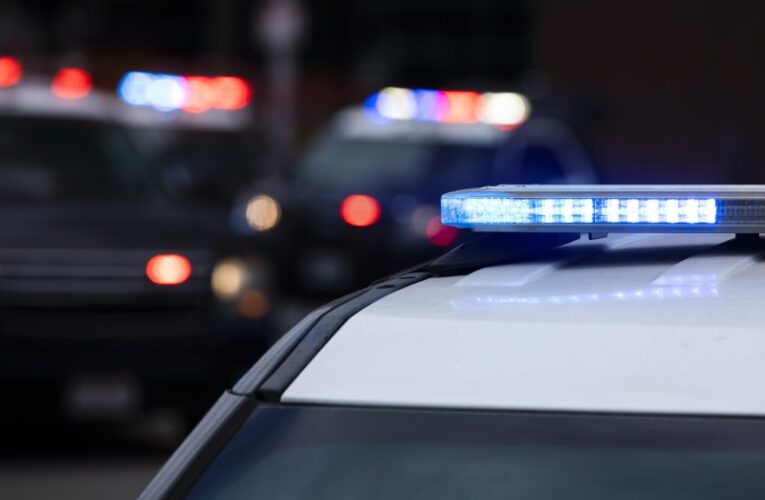 Man killed in Lemon Grove hit-and-run identified