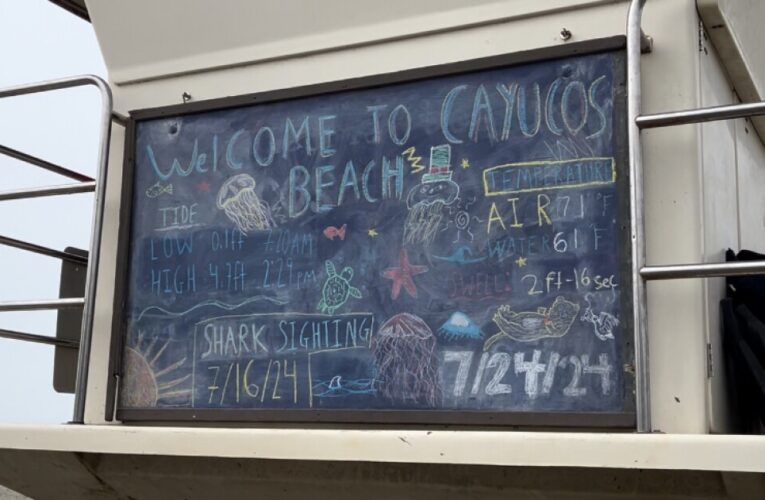 Surfers, lifeguards in Cayucos report multiple recent shark sightings