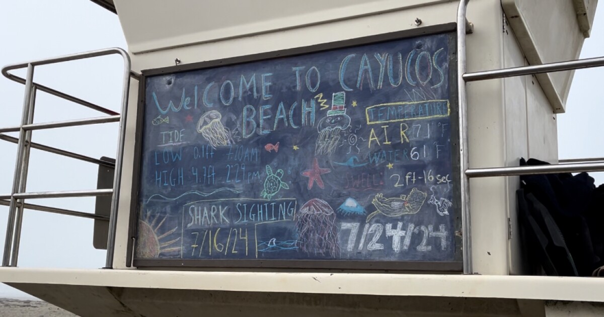 surfers,-lifeguards-in-cayucos-report-multiple-recent-shark-sightings
