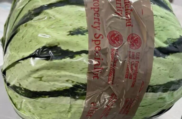 Seedy discovery at U.S.-Mexico border: $5 million worth of meth disguised as watermelons