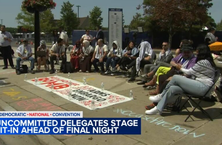 Uncommitted DNC delegates staging hours-long sit-in protest outside United Center