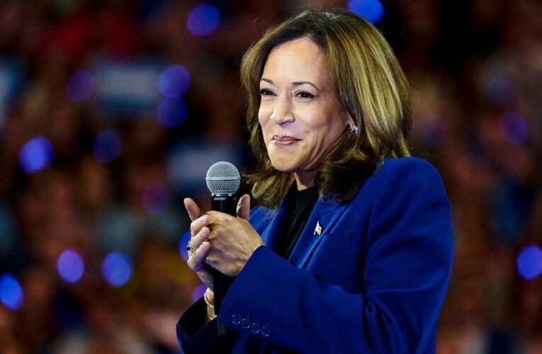 Campaign official previews Kamala Harris’ DNC speech