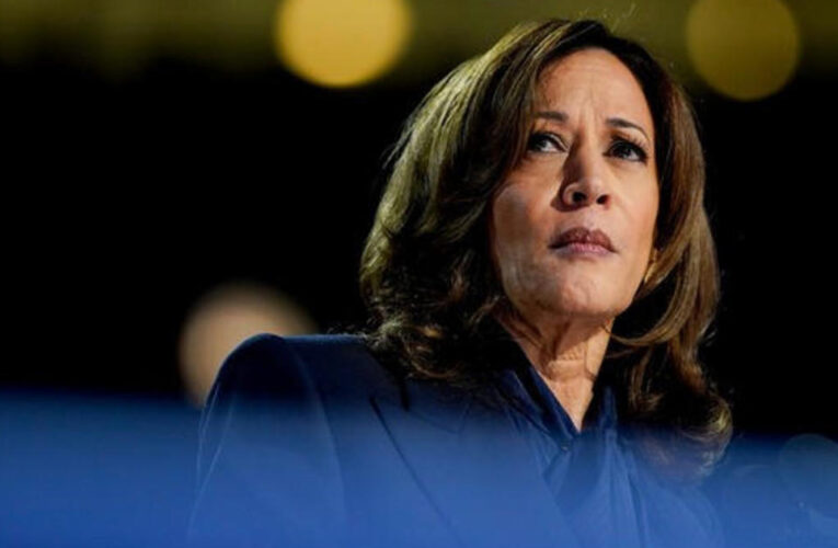 Full DNC Speech: Kamala Harris shares policy goals, slams Trump on issues as she accepts nomination