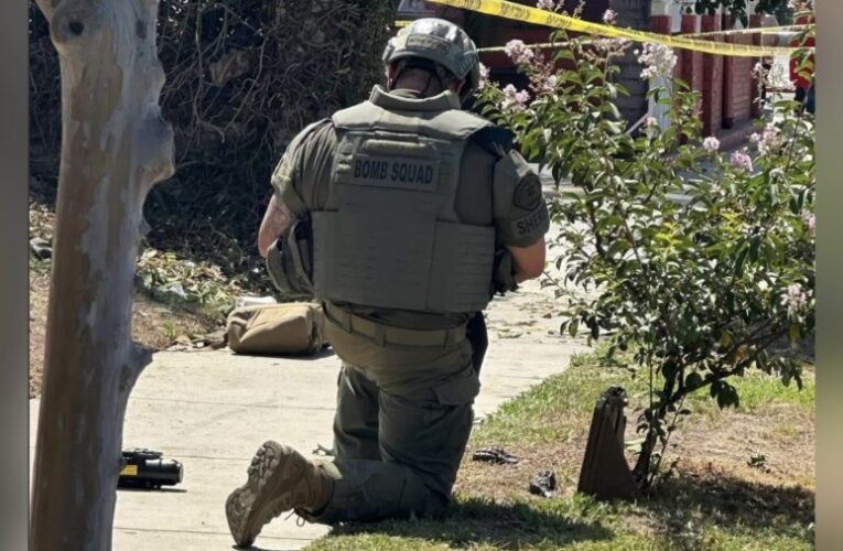 Bomb squad disarms Russian grenades found in Southern California tree