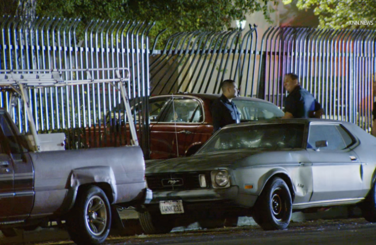 Motorist dies after being shot, crashing in Los Angeles neighborhood